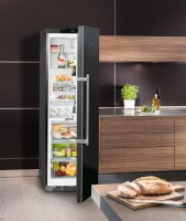 LIEBHERR KBbs 4370 BioFresh Siyah Buzdolabı - 9