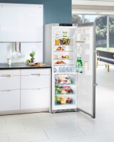 LIEBHERR KBef 4330 BioFresh Paslanmaz Çelik Buzdolabı - 6